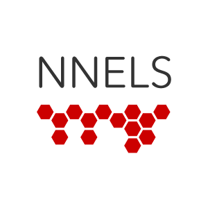 NNELS - National Network for Equitable Library Service